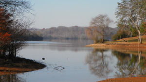 SAMSUNG DIGITAL CAMERA