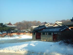 DSC00171