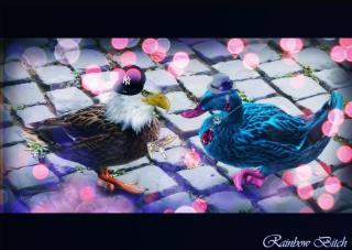  photo image_zps07db5016.jpg