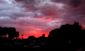 On another day, I did take the photo. 