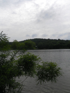 SAMSUNG DIGITAL CAMERA