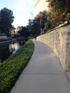 photo 3 (3)