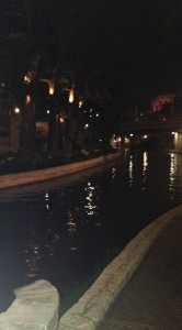 photo 2 (3)