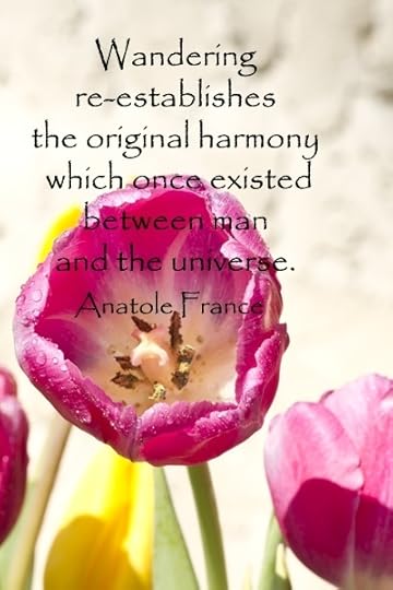  photo wanderlust2_zps894d9513.jpg