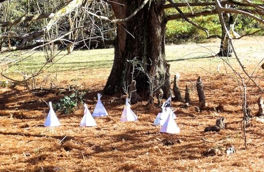 tipi5