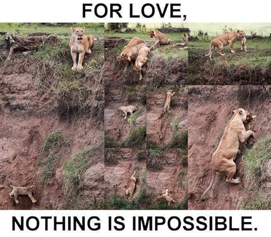 FOR LOVE