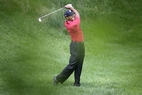 woods.jpg