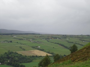 The Fertile Lands of Ferindonald