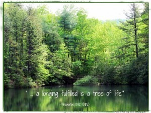Prov 13 12 tree of life God Size Dream Quote2