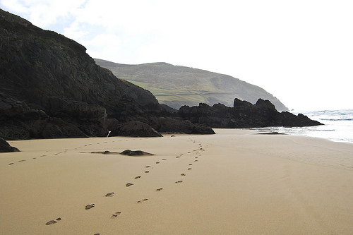 Photo Courtesy of !Serendipity @Flickr