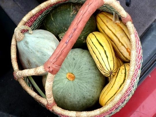 winter-squashes