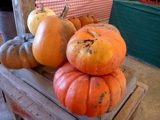 cinderella-pumpkin