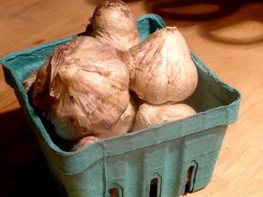 garlic-seed