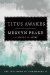 Titus Awakes by Mervyn Peake