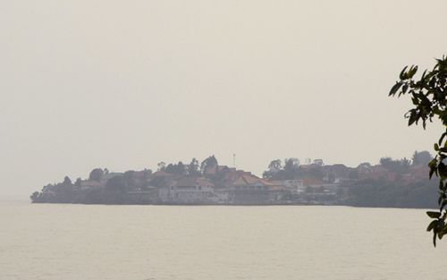 Goma