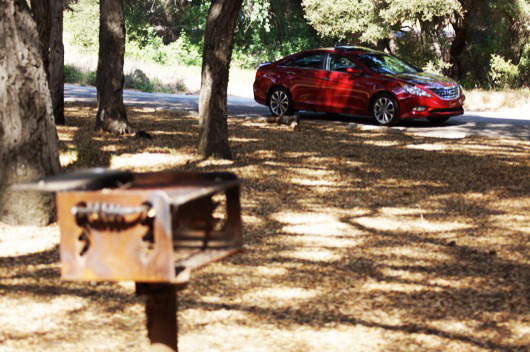 HyundaiSonata_Fireball_Tim4