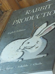 rabbittext