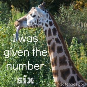 i was given the number six