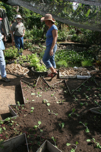 Cuba permaculture