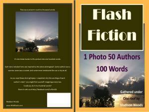 Flash Fiction Anthology Cover