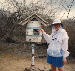 The glamour of Galapagos life.