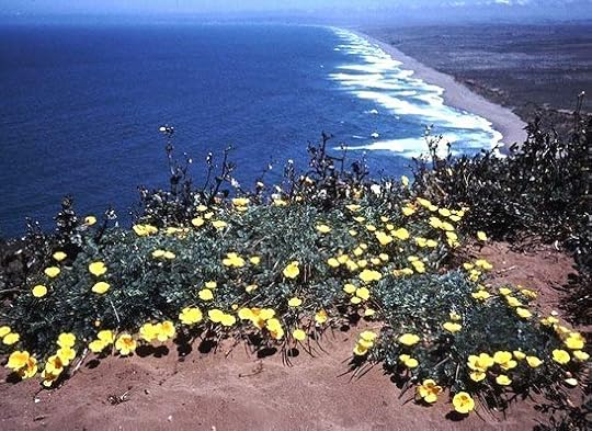 Mesa-Refuge-California