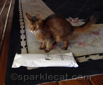 Not exactly a good endorsement for the Kitty Kick Stix!