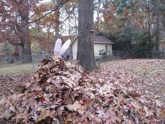 Easter Bunny Hide n Seek