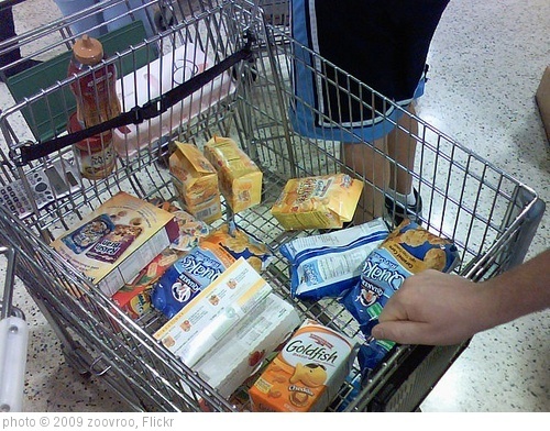 'My Summer Grocery Cart.' photo (c) 2009, zoovroo - license: http://creativecommons.org/licenses/by/2.0/