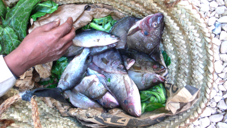 Screen Shot 2013-11-22 at 11.34.41 PM