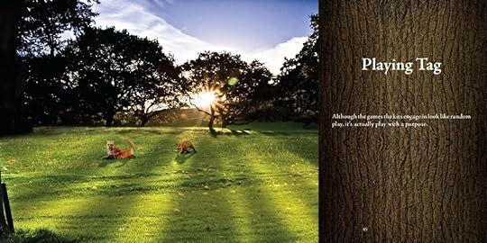 The Fox Diaries