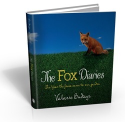 The Fox Diaries