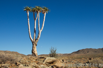 Richtersveld, Northern Cape