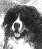 5 Doghead 7-1.457 by 1.68 inches