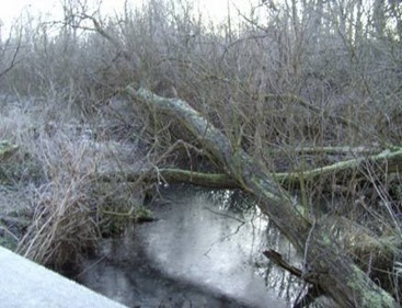 clip_image002