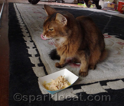 Humans, can you do this with your tongue? Thought not