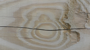 SAMSUNG DIGITAL CAMERA