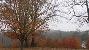 SAMSUNG DIGITAL CAMERA