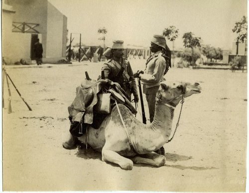 Egyptian soldiers in the late 19th century with Remington rifles.