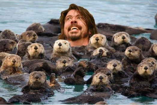 Seals 2