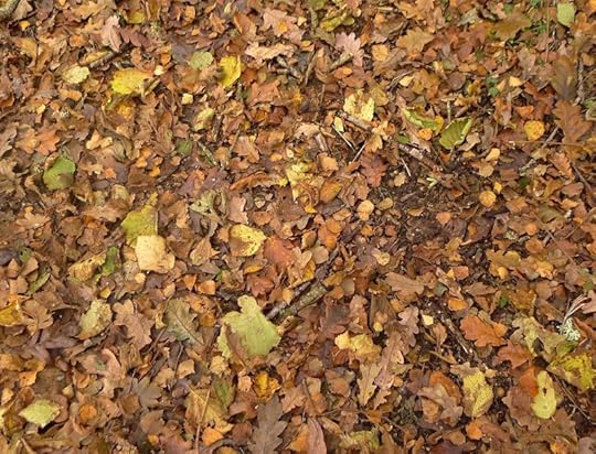 Autumn leaves