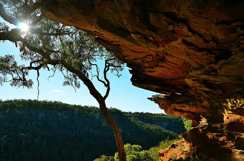 Image courtesy of VernsPics on flickr.com