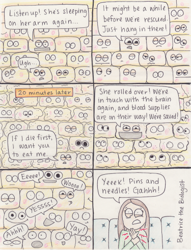 Hand Asleep from Beatrice the Biologist