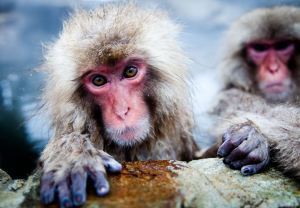 Photo by Mary-Lou Emmert (2010 National Geographic Photography Contest)