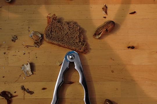 Nuss & Brot