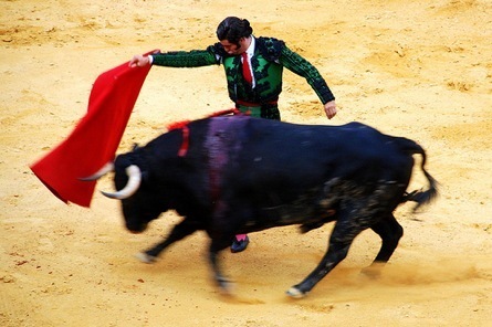 matador-and-bull