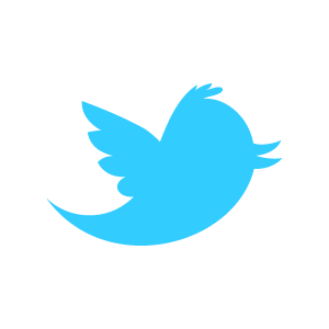 [twitter_newbird_boxed_blueonwhite%255B96%255D.png]
