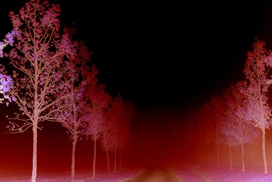 Afterwards by Mufidah Kassalias