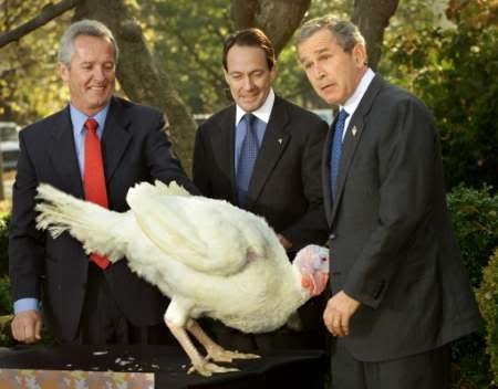 thanksgiving funny photo: Thanksgiving thanksgiving_funny_picture_04.jpg