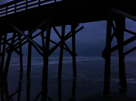 stormy dock back